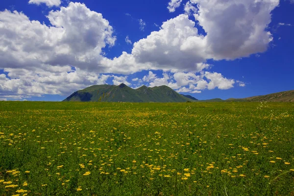 Avat Distrito Artvin Recebeu Título Cittaslow Com Uma Cerimônia Realizada — Fotografia de Stock