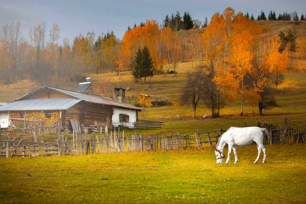 Artvin avat Bölgesi 21-23 Haziran tarihleri arasında Milano 'da düzenlenen törenle 