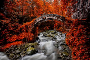 Old stone bridges and people passing by