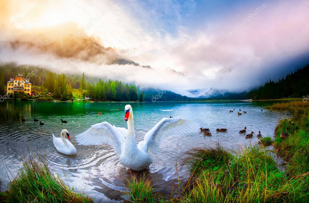 Lake Toblacher See (Italian Lago di Dobbiaco) - Toblach, Italy