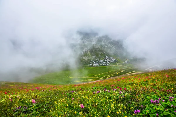 Trovit Plateau Plateau Located Amlhemin District Center Turkey Rize Trovit — Foto de Stock