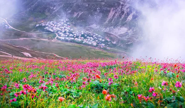 Trovit Plateau is a plateau located in amlhemin district, 64 km from the center of Turkey Rize. Trovit fascinates its visitors with its magnificent atmosphere.