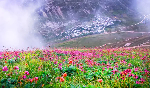 Trovit Plateau Plateau Located Amlhemin District Center Turkey Rize Trovit — 스톡 사진