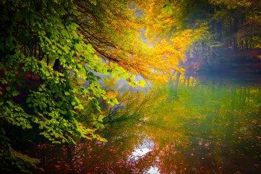 Yedigoller Park Bolu, Türkiye 'de sonbahar manzarası (yedi göl)