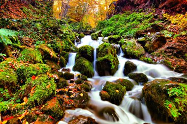 Yedigoller Park Bolu, Türkiye 'de sonbahar manzarası (yedi göl)