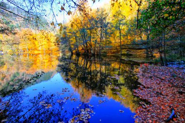 Yedigoller Park Bolu, Türkiye 'de sonbahar manzarası (yedi göl)