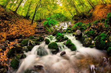 Yedigoller Park Bolu, Türkiye 'de sonbahar manzarası (yedi göl)