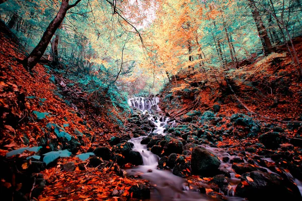 Paisaje Otoñal Siete Lagos Yedigoller Park Bolu Turquía — Foto de Stock