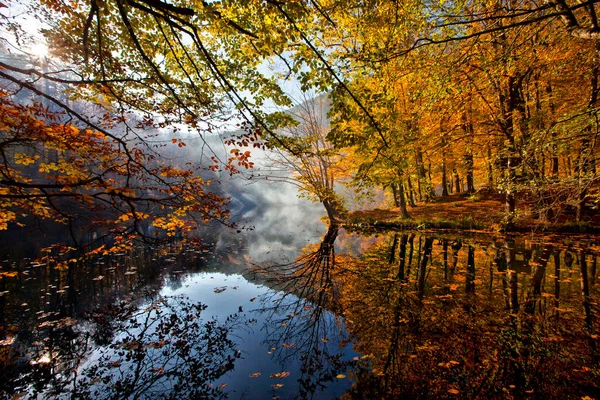 Jesienny Krajobraz Siedem Jezior Yedigoller Park Bolu Turcja — Zdjęcie stockowe