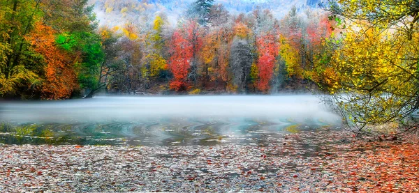 Herbstlandschaft Sieben Seen Yedigoller Park Bolu Türkei — Stockfoto