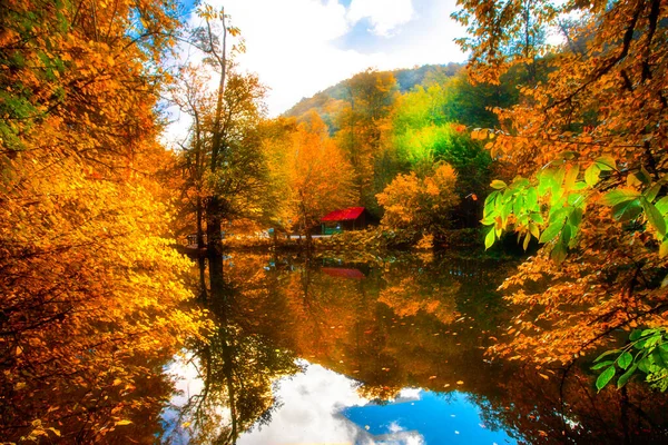 Осенний Пейзаж Семи Озерах Едигольском Парке Болу Турция — стоковое фото