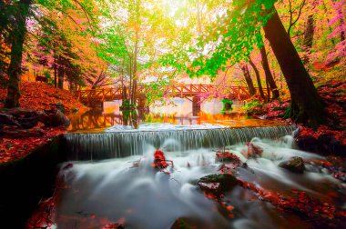 Yedigoller Park Bolu, Türkiye 'de sonbahar manzarası (yedi göl)