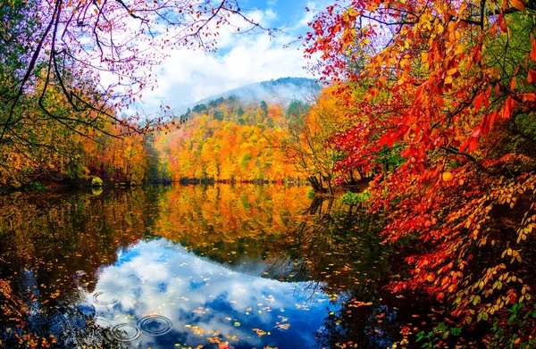 Φθινοπωρινό Τοπίο Επτά Λίμνες Yedigoller Park Bolu Τουρκία — Φωτογραφία Αρχείου