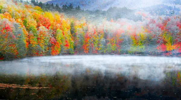 Paesaggio Autunnale Sette Laghi Yedigoller Park Bolu Turchia — Foto Stock