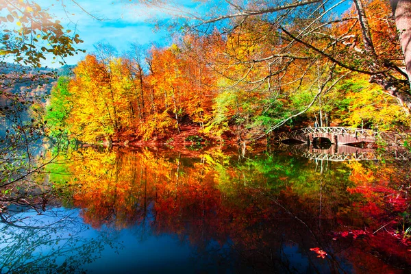 Paysage Automne Dans Sept Lacs Yedigoller Park Bolu Turquie — Photo