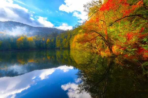 Paesaggio Autunnale Sette Laghi Yedigoller Park Bolu Turchia — Foto Stock