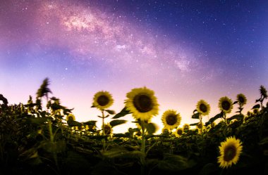 Yıldız ve Samanyolu dünyanın çeşitli yerlerinde özel bir teknikle fotoğraflandı.