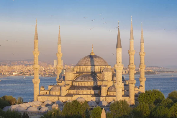 Sultanahmet Mosque Blue Mosque Istanbul Turkey — Stock Photo, Image