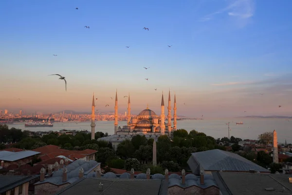 Sultanahmet Mosque Blue Mosque Istanbul Turkey — Fotografia de Stock
