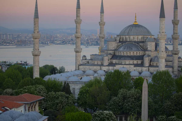 Sultanahmet Mosque Blue Mosque Istanbul Turkey — Stok fotoğraf