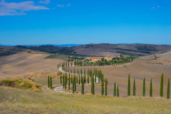 Bekende Toscaanse Landschap Met Graanvelden Cipressen Huizen Heuvels Bij Zonsondergang — Stockfoto