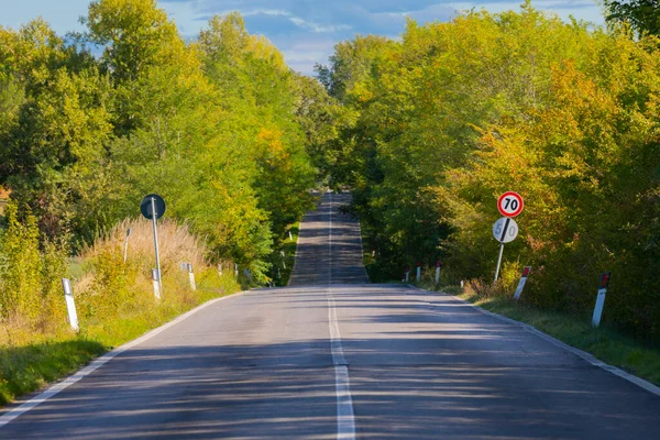 Tree Alley Front Farmhouse Montalcino Tuscany Italy — Φωτογραφία Αρχείου