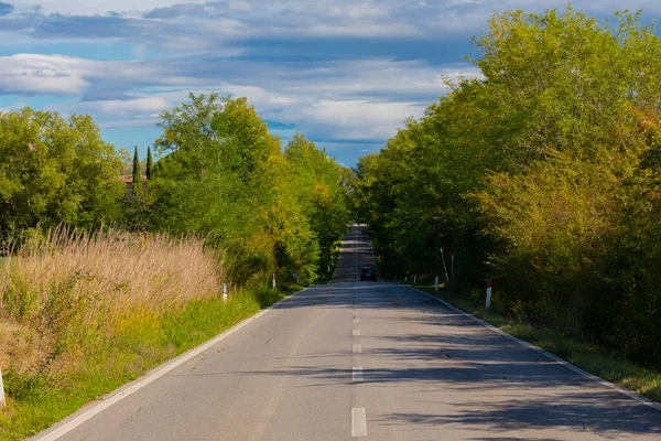 Tree Alley Front Farmhouse Montalcino Tuscany Italy — Foto Stock