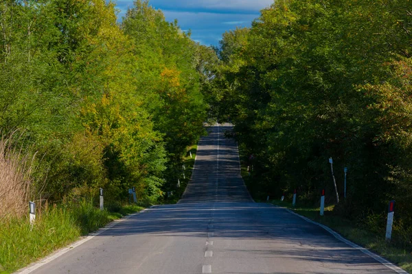 Tree Alley Front Farmhouse Montalcino Tuscany Italy — Φωτογραφία Αρχείου