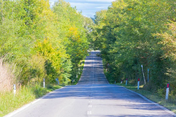 Aleja Drzew Przed Domem Rustykalnym Pobliżu Montalcino Toskania Włochy — Zdjęcie stockowe