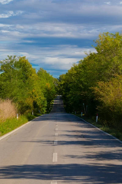 Vicolo Alberato Fronte All Agriturismo Vicino Montalcino Toscana Italia — Foto Stock