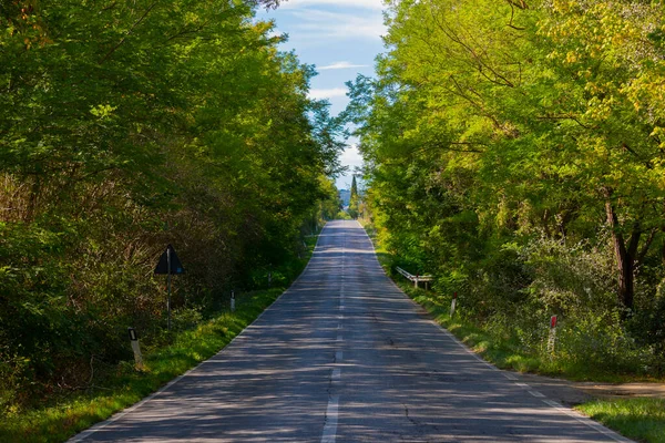 Tree Alley Front Farmhouse Montalcino Tuscany Italy — Φωτογραφία Αρχείου