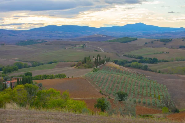 Pienza Toscana Italy Road Pictures Which Were Made Famous Movie — Stock Photo, Image