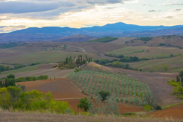 Pienza Toscana Italië Weg Naar Foto Die Werden Gemaakt Beroemde — Stockfoto