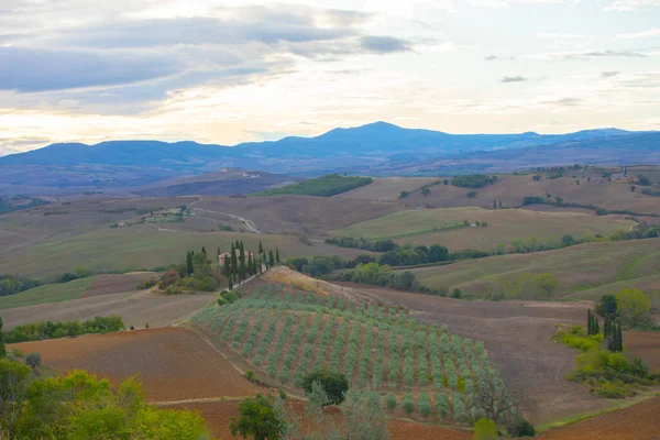 Pienza Toscana Italië Weg Naar Foto Die Werden Gemaakt Beroemde — Stockfoto