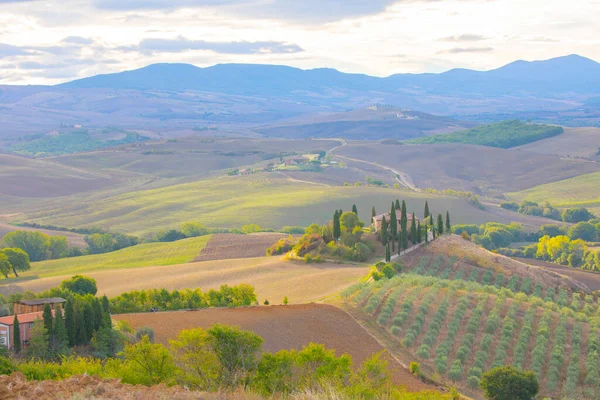 Pienza Toscana Italië Weg Naar Foto Die Werden Gemaakt Beroemde — Stockfoto