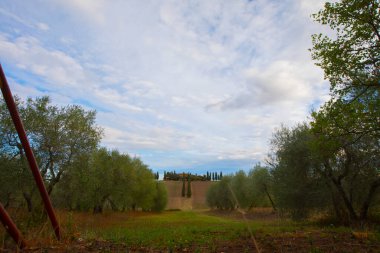 Pienza Toscana İtalya, yol hangi resimleri ünlü film haline gladyatör yapılmıştır