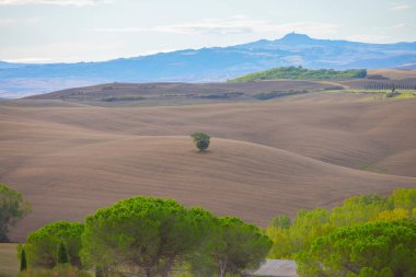 Madonna di Vitaleta, San Quirico d'Orcia, İtalya küçük bir şapel ile gündoğumu Tuscany manzaraya