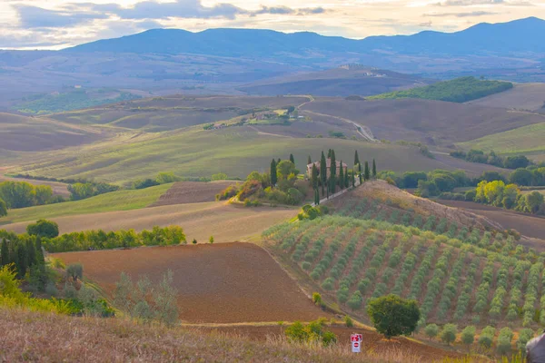 Pienza Toscana Italië Weg Naar Foto Die Werden Gemaakt Beroemde — Stockfoto