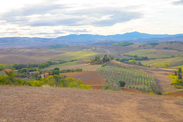 Pienza Toscana Italië Weg Naar Foto Die Werden Gemaakt Beroemde — Stockfoto