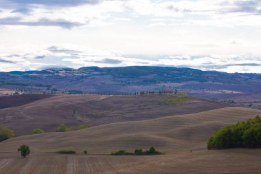 Yazın tipik Toskana manzarası, ekili tarlaları, şarap bahçeleri, selvi ağaçları ve Montepulciano ve Montalcino yakınlarındaki bir tepe ve vadi arazisindeki eski çiftlik binaları, Val d 'Orcia, İtalya