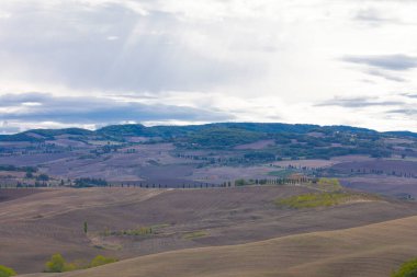 Yazın tipik Toskana manzarası, ekili tarlaları, şarap bahçeleri, selvi ağaçları ve Montepulciano ve Montalcino yakınlarındaki bir tepe ve vadi arazisindeki eski çiftlik binaları, Val d 'Orcia, İtalya