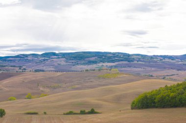 Yazın tipik Toskana manzarası, ekili tarlaları, şarap bahçeleri, selvi ağaçları ve Montepulciano ve Montalcino yakınlarındaki bir tepe ve vadi arazisindeki eski çiftlik binaları, Val d 'Orcia, İtalya