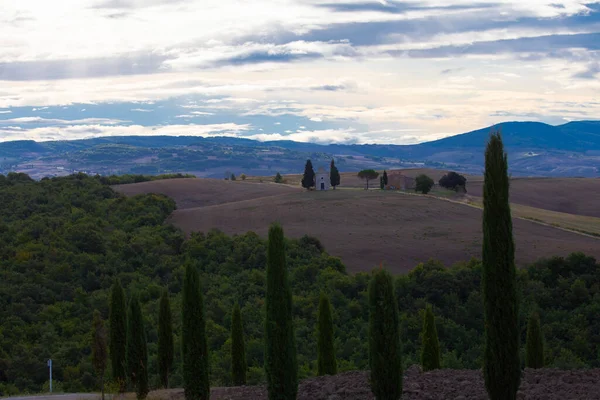 Typical Tuscany Landscape Summer Cultivated Fields Wine Yards Cypress Trees — Stockfoto