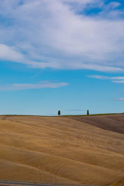 Typical Tuscany Landscape Summer Cultivated Fields Wine Yards Cypress Trees — Stock fotografie