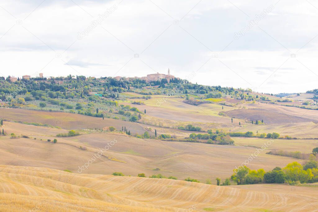 Typical Tuscany landscape in summer, with cultivated fields and wine yards, cypress trees and old farm buildings in a hill and valley landscape, near Montepulciano and Montalcino, Val d'Orcia, Italy