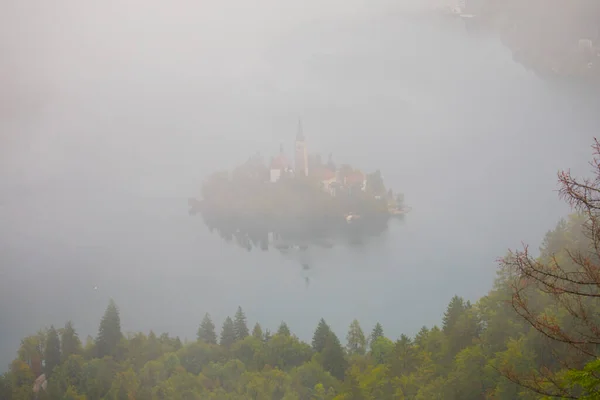 Aerial View Church Assumption Maria Bled Lake Sunny Autumn Landscape — Fotografia de Stock