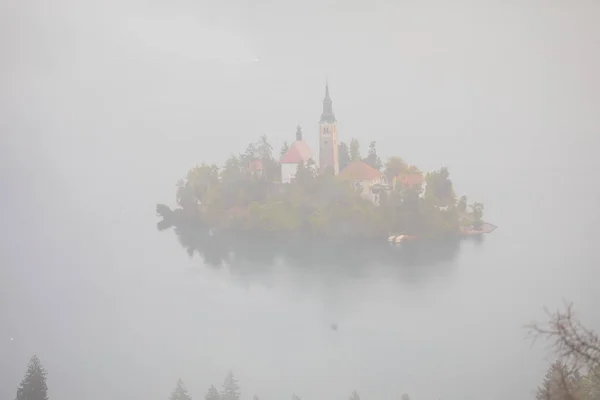 Aerial View Church Assumption Maria Bled Lake Sunny Autumn Landscape — Foto de Stock