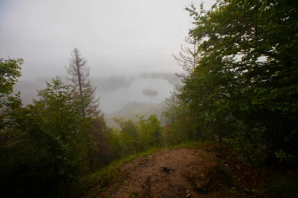 Famous Island Old Church City Bled Misty Morning Gorgeous Lights — Foto Stock