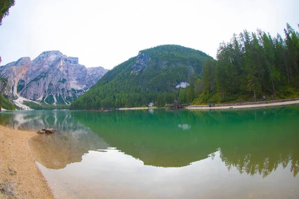 Pragser Wildsee Lago Braies Italian Alps Dolomites Unesco World Heritage — Fotografia de Stock
