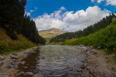 Savsat 'ta arka planda Balık Gölü (Balikgol) bahar dağı